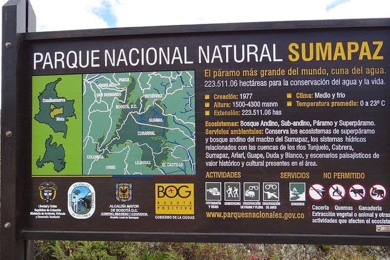 Observation des oiseaux, Nature & photographie à Parc national de Sumapaz