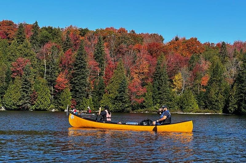 Algonquin Park 3 - Journée Deluxe Camping & Canoë Aventure