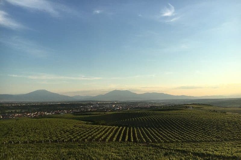 Pristina, Prizren et la finale du vin au Kosovo