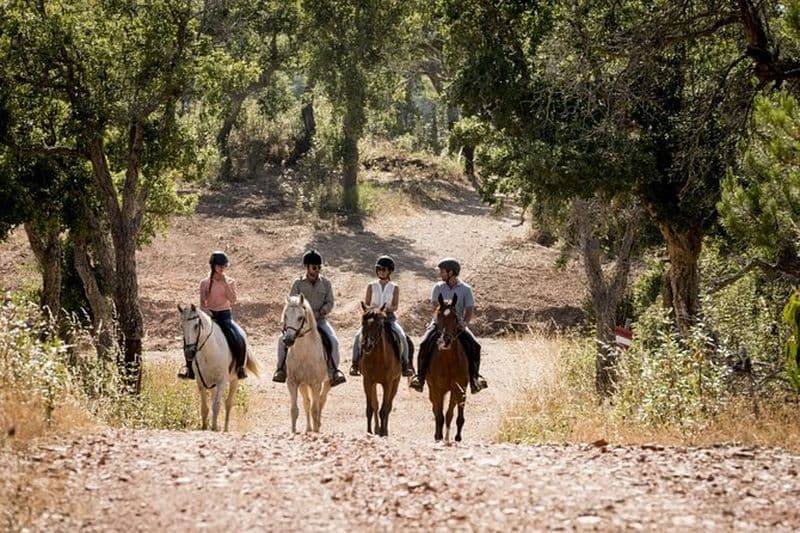 1,5 h d'équitation à Montevideo, Uruguay, avec transport