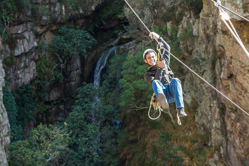 Cape Town : Visite d'une demi-journée de Cape Canopy - Zipline et aventure en 4x4