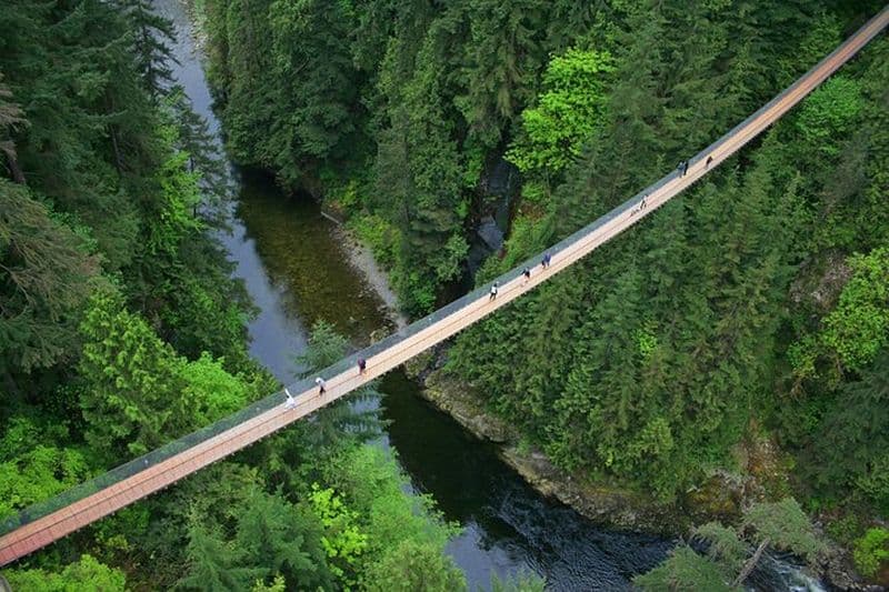 Billet Visite de la ville de Vancouver : pont suspendu de Capilano et belvédère de Vancouver