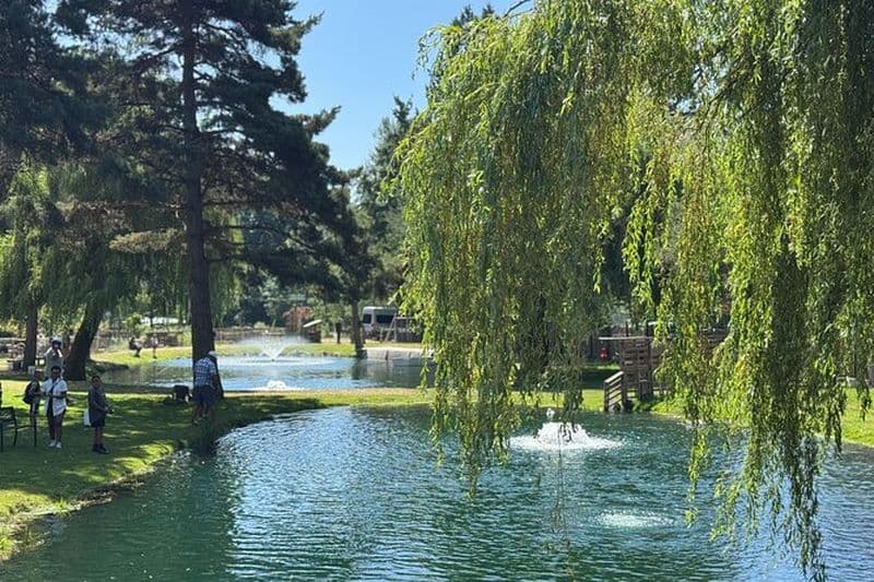 Une journée relaxante de pêche et de barbecue frais