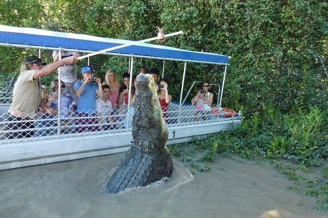 Billet Croisières sur la rivière Adélaïde - Expérience de crocodile sauteur