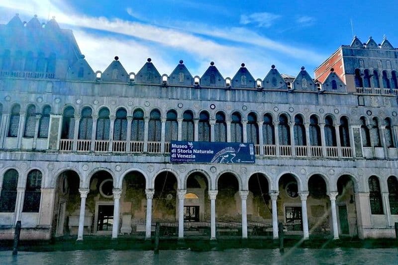 Musée d'histoire naturelle de Venise avec un guide de la nature et d'interprétation