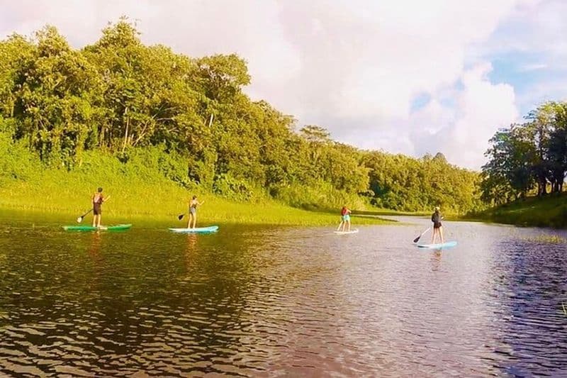Billet Paddle Board Private Tour Nuevo Arenal, Lac Arenal