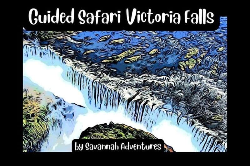 Visite guidée des chutes (côté ZIM) Safari animalier, par Savannah