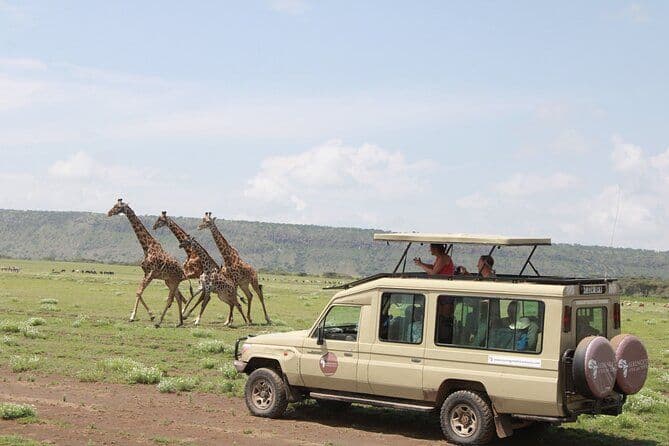 6 jours de safari dans le Serengeti (randonnée des cascades et visite du café)