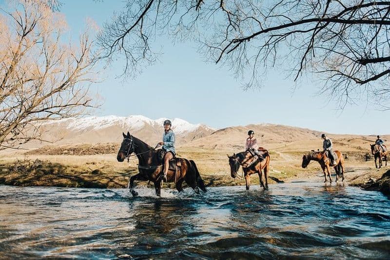 Gold Discovery Trail Horse Trek Cardrona - Les plus populaires!
