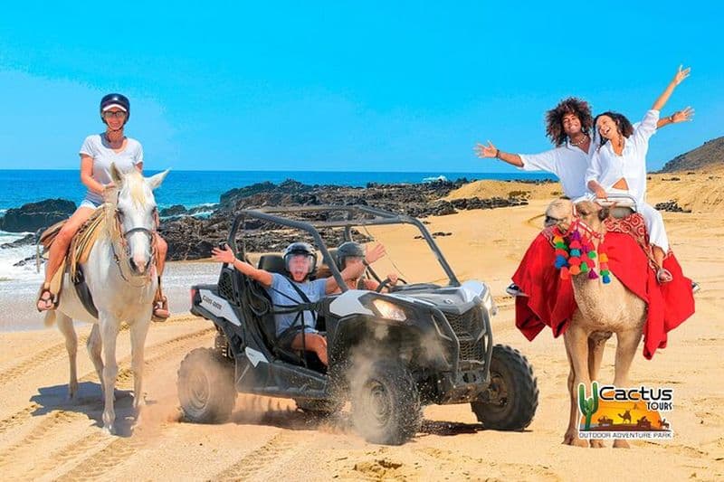 Plage UTV Aventure avec chameau gratuit et promenade à cheval