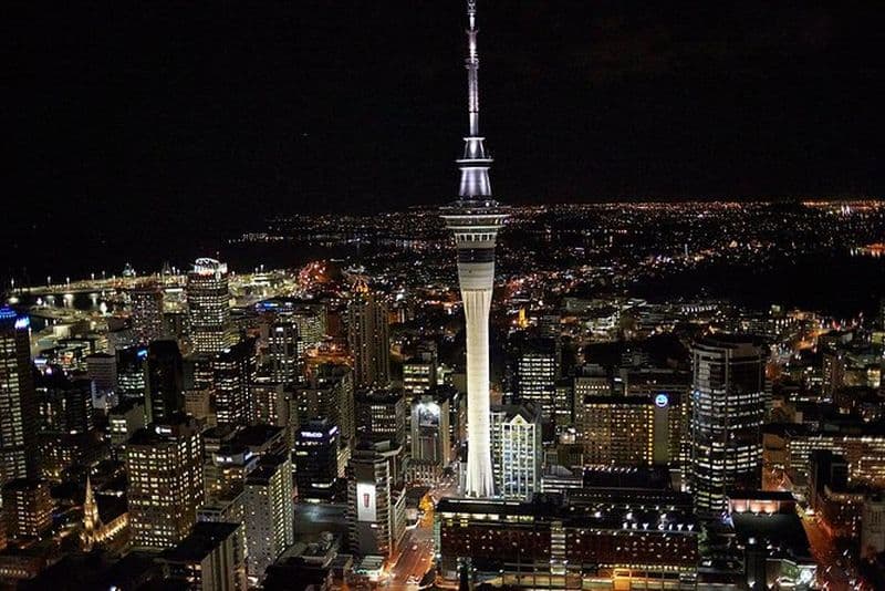 Auckland City Tour — Rapide, amusant et plein de vues! (Demi-journée)