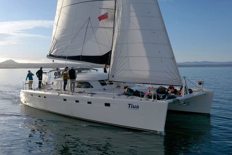 Voile de luxe - Sculptures rupestres maories - Taupo Sailing Adventures