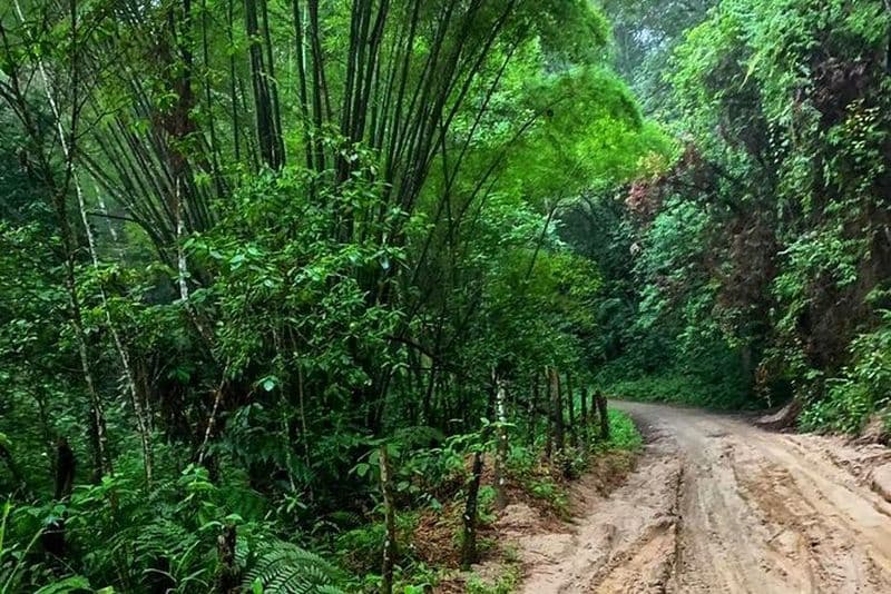 MINCA TOUR - Explorez les cascades et découvrez l'origine du café et du cacao