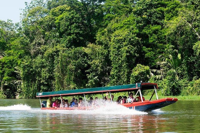 Excursion d'aventure écologique en canoë dans le parc national de Tortuguero au départ de San Jose