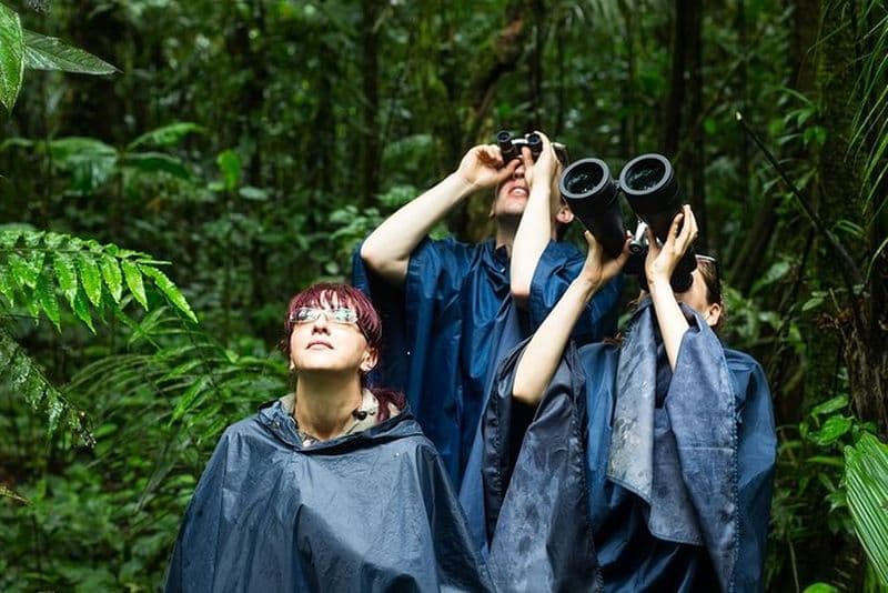 Forfait vacances Costa Rica Safari 14J / 13N