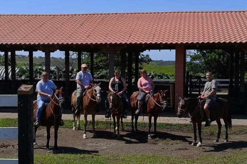 Journée complète avec balade à cheval dans la canopée et visite culturelle d'Arenal depuis San Jose