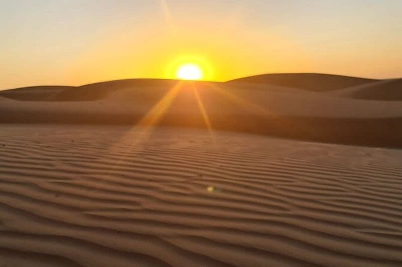 Observation privée du safari au coucher du soleil dans le désert