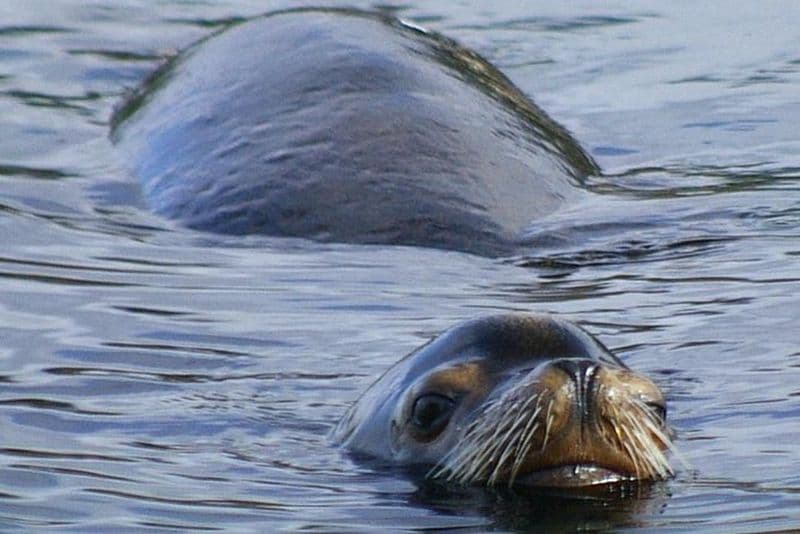 Expédition de kayak dans les îles Broken Group de 3 jours