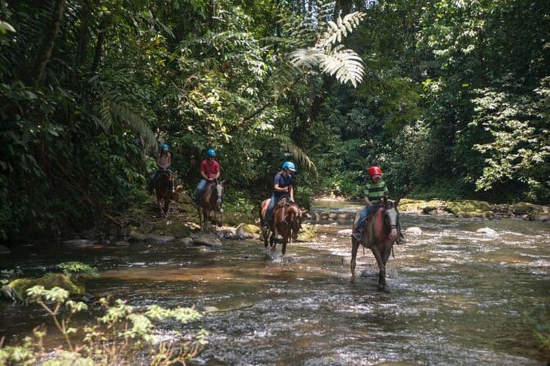 Billet Expérience d'équitation dans la forêt de Sarapiqui au Costa Rica
