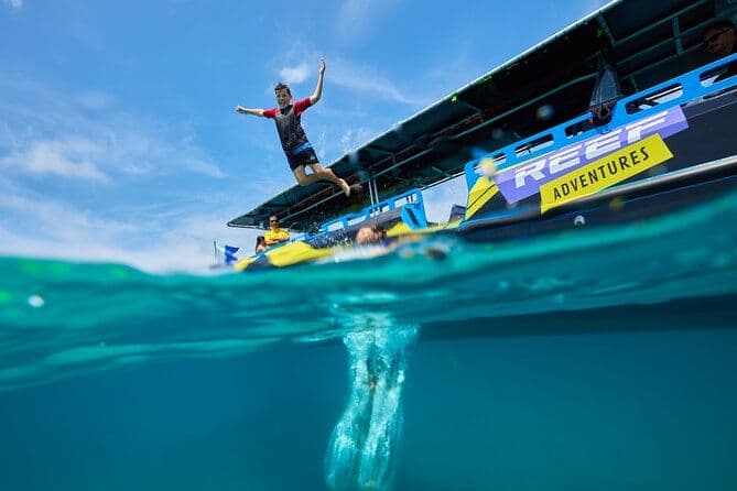 Excursion d'une demi-journée à Cairns : une expérience de plongée en apnée sur la Grande Barrière de corail