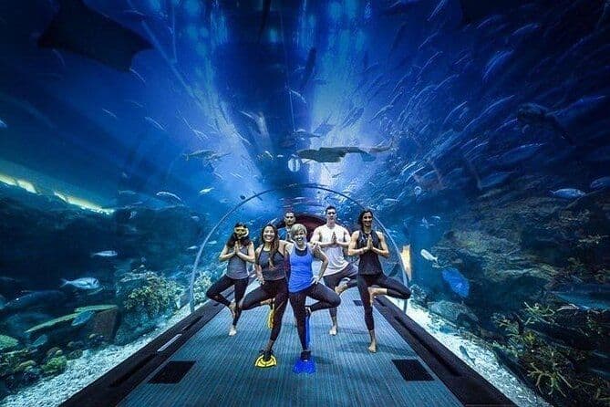 Billet Aquarium de Dubaï, zoo sous-marin, crique des pingouins avec transport en option