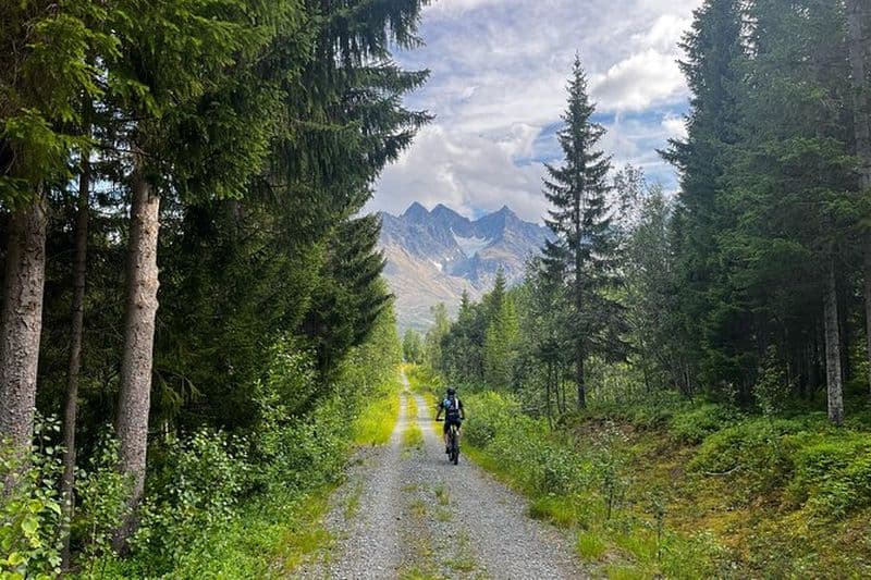 Billet Excursion en VTT électrique dans les Alpes de Lyngen au départ de Tromsø