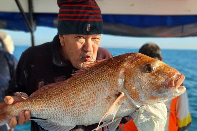 Excursion de pêche d'une journée sur le port d'Auckland Waitemata