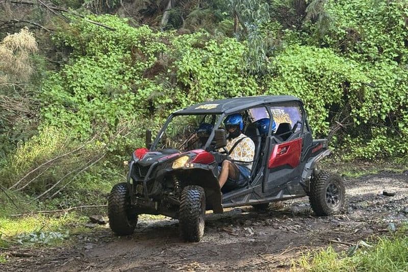 Trail Thrill Buggy Adventure dans la forêt de Laurisilva