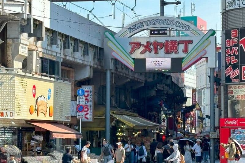 Visite à pied d'une demi-journée du parc Ueno et du marché alimentaire de la rue Ameyoko