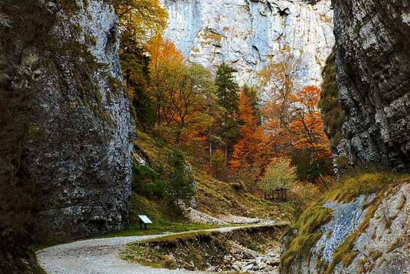 CURMATURA CHALET et CANYON Circuit eBike (BRASOV)