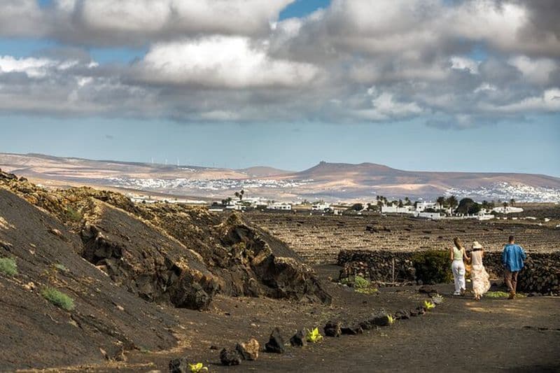 Visite de la cave des amateurs de vin à Lanzarote
