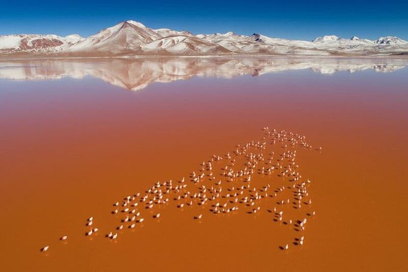 Billet Circuit de 3 jours au salar d'Uyuni et aux lagons colorés + coucher de soleil + effet miroir