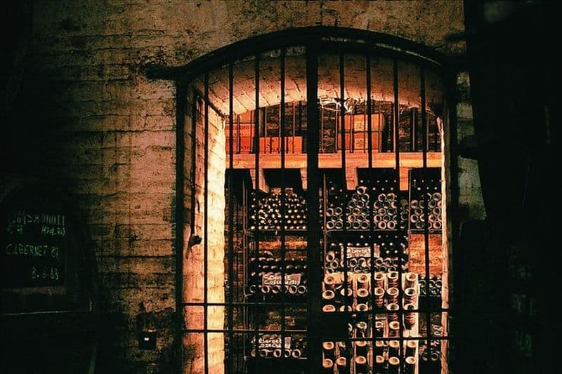 Visite des vins premium à Viña Cousiño Macul, officiel espagnol