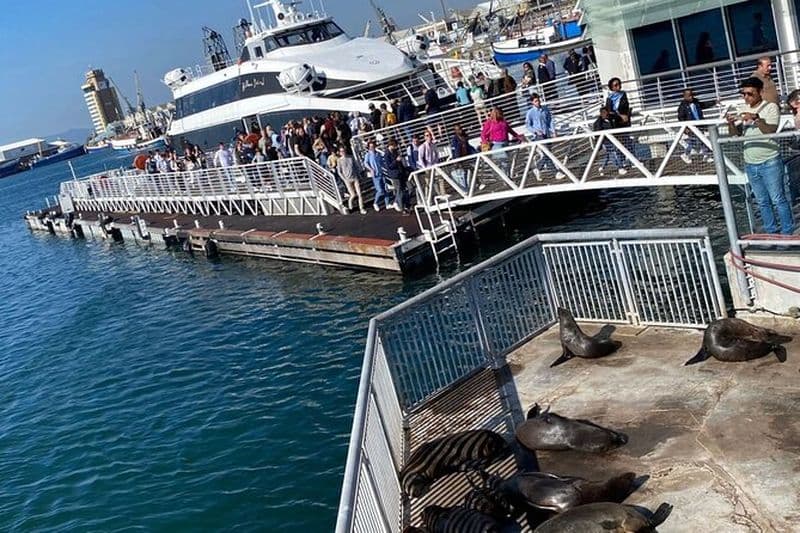 Expérience à Robben Island: Billets pré-réservés et transferts aller-retour