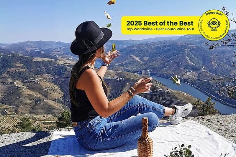 Vallée du Douro : Sites historiques, Expérience viticole, Déjeuner et croisière