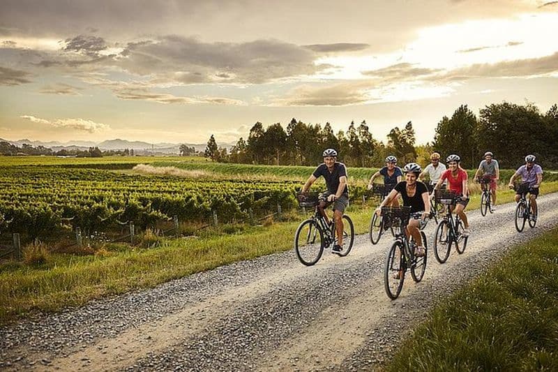 Visite guidée des vins à vélo (journée complète) dans la région de Marlborough.
