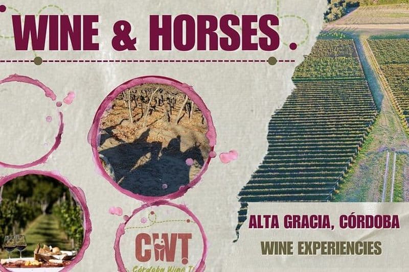 Billet Vin et chevaux, Tour du vin en Córdoba -Argentine