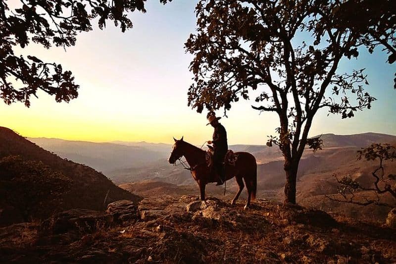Balade à cheval avec déjeuner inclus et fête à Cantaritos