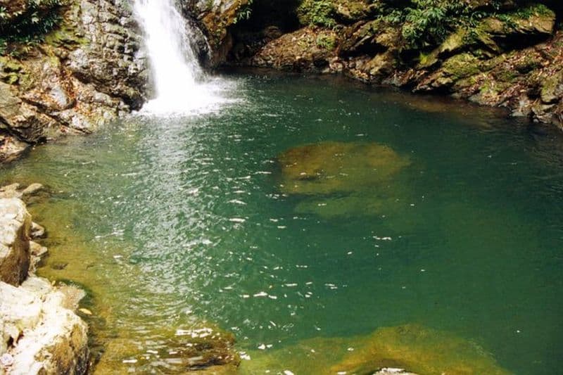 Randonnée Cascade Hidden De Panama City