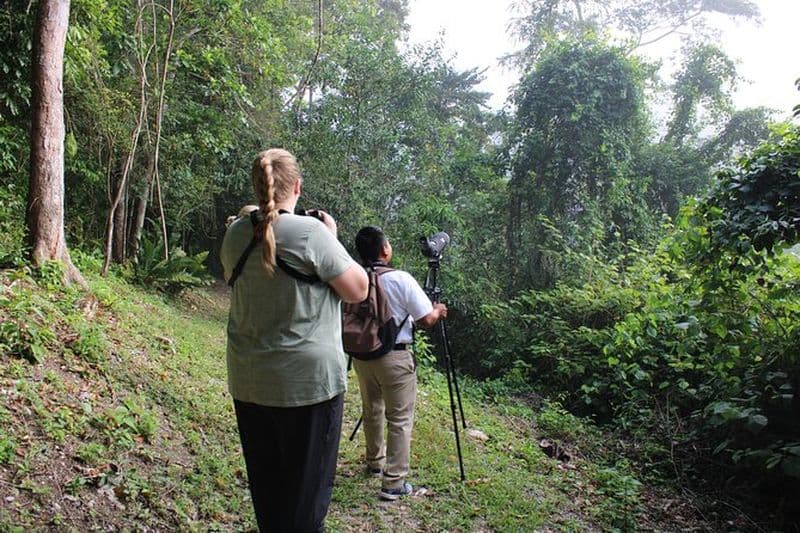 Sur place Observation des oiseaux