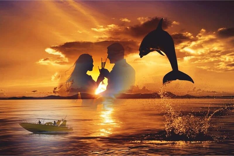 Excursion d'observation des dauphins au coucher du soleil à bord du jet Biosfera