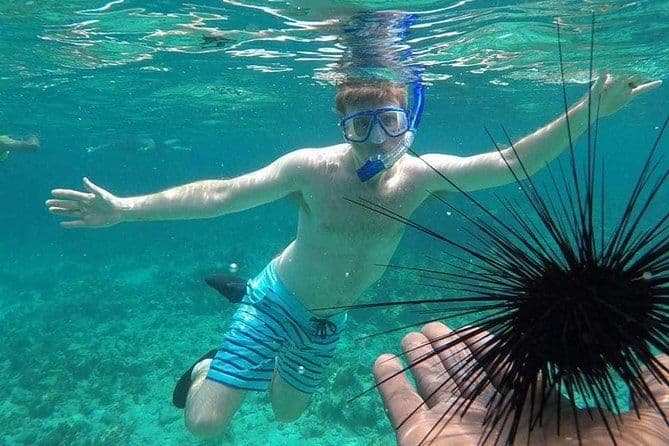 Rick's Cafe Sunset Cruise et plongée en apnée