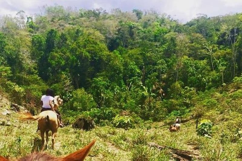 Billet Randonnée à cheval à la cité de la jungle oubliée