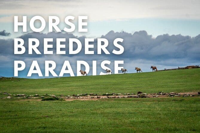 Paradis des éleveurs de chevaux