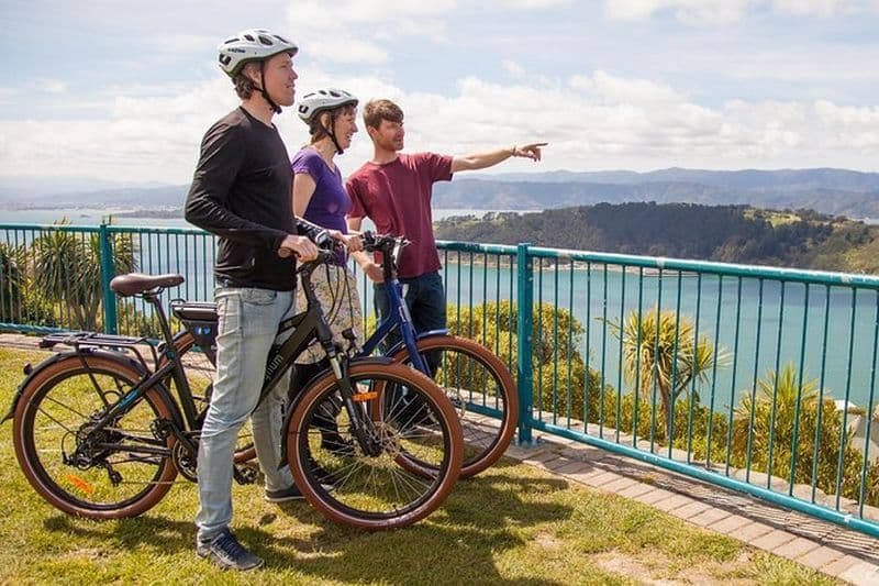 Billet Visite guidée en vélo électrique de Wellington - Excursion à terre en croisière