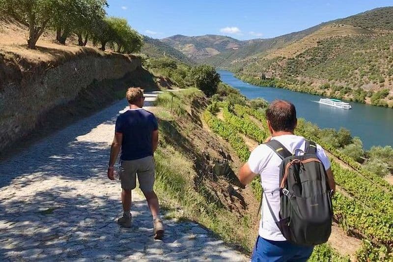 Billet Randonnée dans le Pinhão