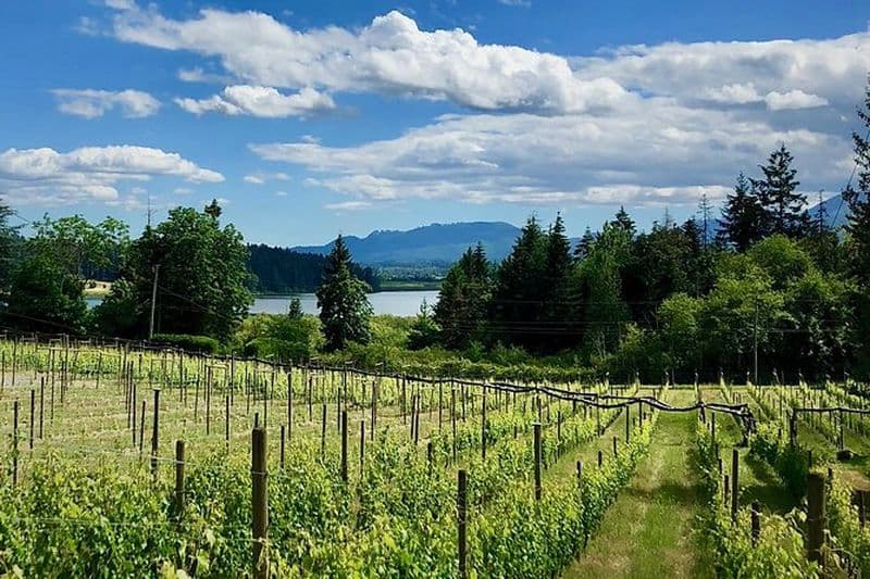 Visite des vins haut de gamme de la vallée de Cowichan