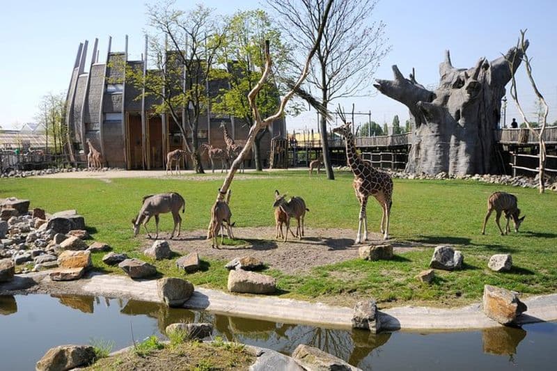 Billet d'entrée directe au zoo de Rotterdam Diergaarde Blijdorp