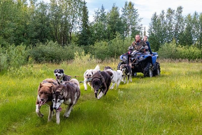 Billet Rencontrez 70 Huskies et profitez d'une courte visite en VTT avec les Huskies