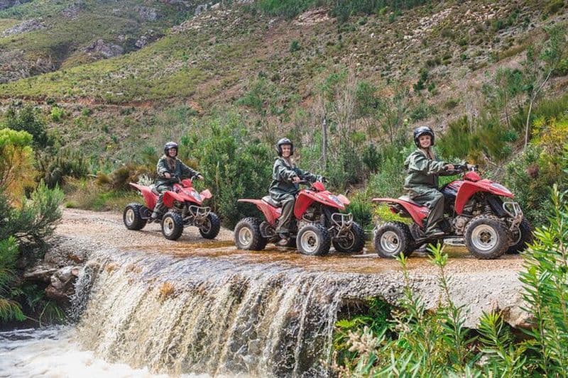 Visite de la montagne et de Fynbos Drive en VTT